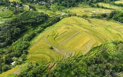 Lễ hội ruộng bậc thang Miền Đồi ở huyện Lạc Sơn (Hòa Bình) được tổ chức ngày nào?