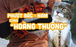 Chàng trai trẻ và hành trình phượt Bắc - Nam cùng mèo cưng 