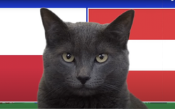 Mèo tiên tri Cass dự đoán kết quả Ba Lan vs Áo