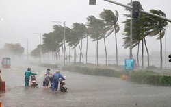 Chuyên gia thời tiết dự báo mùa mưa bão năm 2024 sẽ cực đoan và khốc liệt, cụ thể như thế nào?