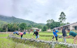 Đây là cách hội viên nông dân Lai Châu tăng giá trị kinh tế trên một đơn vị diện tích canh tác