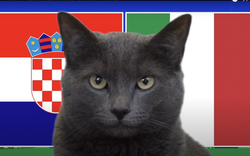 Mèo tiên tri Cass dự đoán kết quả Croatia vs Italia
