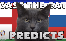 Mèo tiên tri Cass dự đoán kết quả Anh vs Slovenia