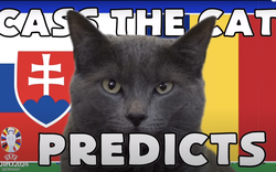 Mèo tiên tri Cass dự đoán kết quả Slovakia vs Romania