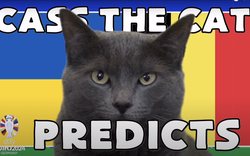 Mèo tiên tri Cass dự đoán kết quả Ukraine vs Bỉ