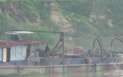 “Cát tặc” lộng hành trên sông Chu (Thanh Hóa): Báo phản ánh một đằng, huyện kiểm tra một nẻo