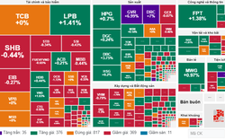 VN-Index tăng nhẹ lên 1.261 điểm, động lực để thị trường 'quay xe'?