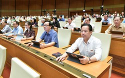 Quốc hội cho phép lập Khu thương mại tự do Đà Nẵng với nhiều chính sách ưu đãi