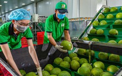 Nâng cao năng lực SPS là cơ hội để Việt Nam khẳng định đáp ứng yêu cầu an toàn thực phẩm với thế giới