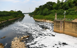 Báo động ô nhiễm tại sông Nhuệ, sông Đáy
