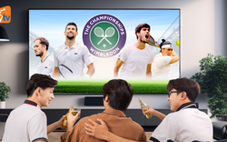 Wimbledon 2024: Khán giả Việt Nam thưởng thức trực tiếp giải quần vợt danh giá trên MyTV