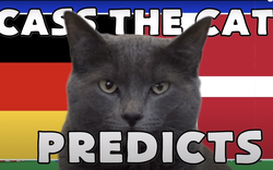 Mèo tiên tri Cass dự đoán kết quả Đức vs Đan Mạch