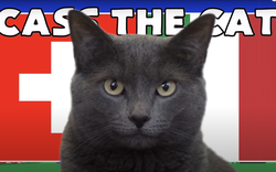 Mèo tiên tri Cass dự đoán kết quả Thuỵ Sĩ vs Italia