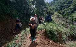 Một phụ nữ ở Hòa Bình mất tích khi vào rừng lấy măng 