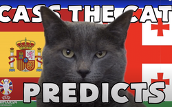 Mèo tiên tri Cass dự đoán kết quả Tây Ban Nha vs Georgia