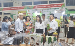 Hàng trăm sản phẩm OCOP tham gia Hội chợ hàng Việt Đà Nẵng 2024 