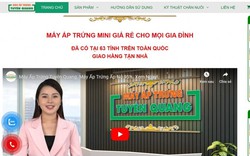 Hộ kinh doanh bị phạt vì bán hàng online chui