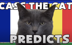 Mèo tiên tri Cass dự đoán kết quả Pháp vs Bỉ