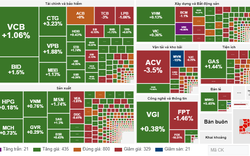 Nỗ lực phục hồi phiên chiều, VN-Index "bật tăng" hơn 9 điểm
