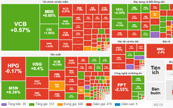 Sắc đỏ trở lại, VN-Index mất gần 8 điểm