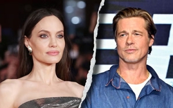 Brad Pitt lo sợ bị các con "bóc phốt" sau ly hôn?