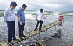 Phó Chủ tịch T.Ư Hội NDVN đề nghị hỗ trợ câu lạc bộ nuôi trồng thủy sản bền vững Quảng Ninh hoạt động hiệu quả