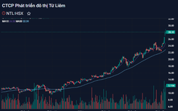 Cổ phiếu NTL tăng 104% từ đầu năm, mẹ Tổng Giám đốc Lideco đăng ký bán 1 triệu cổ phiếu