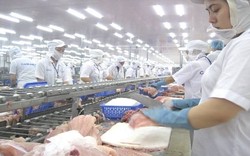 Hàng nông sản thực phẩm Việt Nam xuất khẩu sang Nga tăng vọt