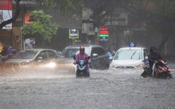 Áp thấp nhiệt đới sẽ đổ bộ vào những tỉnh nào, các địa phương lên phương án ứng phó ra sao?