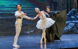 Đạo diễn người Áo ngỡ ngàng với vở ballet “Hồ Thiên Nga” của Việt Nam