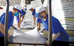 Đang bán lượng gạo khổng lồ đi khắp toàn cầu, vì sao Việt Nam vẫn chi gần 700 triệu USD để mua gạo?