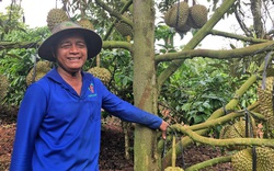 Vô một vùng sâu xa của Lâm Đồng xem một tỷ phú nông dân trồng cây "đẻ" ra trái đắt tiền