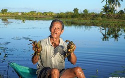 Ở Kiên Giang, người dân, doanh nghiệp đang tăng khai thác hải sản, nuôi trồng thủy sản để bù sản lượng thiếu hụt