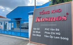 Kosmos Việt Nam: Chuyên gia trong lĩnh vực sàn gỗ và tấm ốp cao cấp