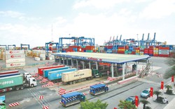 Từ vụ Trạm thu phí BOT Phú Hữu, kiến nghị miễn, giảm phí hàng hóa qua các cảng biển TP.HCM