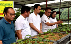 Tăng cường hợp tác phát triển sản xuất nông – lâm nghiệp và du lịch