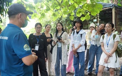 Lý do sinh viên tìm kiếm các cơ hội làm việc liên quan tới lĩnh vực môi trường liên tục tăng