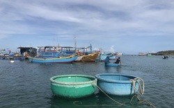 Nghi bị ép nước khi lặn bắt hải sản, một thợ lặn ở Bình Thuận tử vong trên biển  