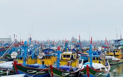 Quảng Ngãi:
Dự án nâng cấp, mở rộng cảng cá 460 tỷ đi qua gần nửa thời hạn vẫn chưa khởi công
