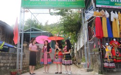 Vào Chi hội nghề nghiệp "Nông dân làm homestay", hội viên một huyện của tỉnh Hòa Bình thu trăm triệu