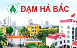 Kinh doanh dưới giá vốn, Đạm Hà Bắc báo lỗ 137 tỷ đồng trong quý II/2024