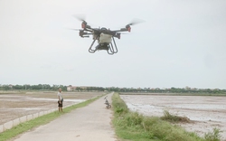 Sau ngập úng, hơn 45.000ha lúa bị thiệt hại, nông dân miền Bắc lái máy bay để gieo cấy lại