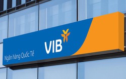 VIB: Lợi nhuận đạt 4.600 tỷ, tín dụng và huy động vốn tăng trưởng 5% trong 6 tháng đầu năm 2024.