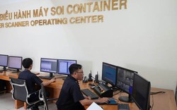 Phát hiện hàng trăm container vi phạm về hàng cấm, hàng nhập khẩu giả mạo xuất xứ