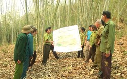 Đa dạng các hình thức tuyên truyền bảo vệ rừng ở Điện Biên