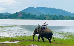 Chàng trai đam mê xê dịch từ chối cưỡi voi tại Buôn Jun ở Đắk Lắk vì lý do này