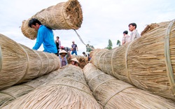 Ở Đồng Tháp có một cái chợ nằm bên dòng sông Hậu, nghe tên xong phải hỏi đi hỏi lại cho chuẩn, là chợ gì?