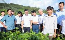 Làm việc với lãnh đạo tỉnh Bắc Giang, Bộ trưởng Lê Minh Hoan gợi mở điều gì để nông nghiệp tỉnh này phát triển?