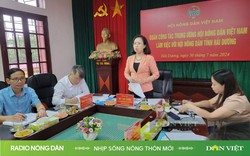 Nhịp sống nông thôn mới ngày 02/08/2024