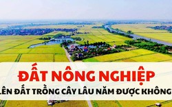 Làm thế nào chuyển đổi mục đích sử dụng đất nông nghiệp?